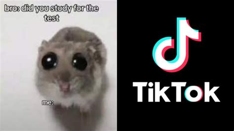 Explained what are the Gear Swiss videos on TikTok as they go .
